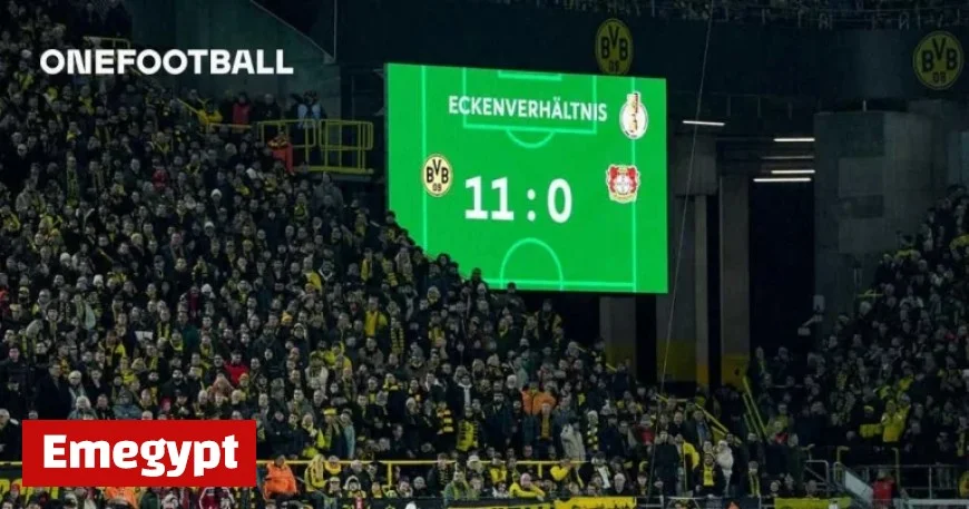 Discover the Power of Efficiency Wins Facts Unveiled