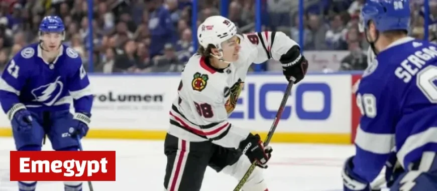 Top NHL Picks and Bets Tonight: Expert Insights and Odds