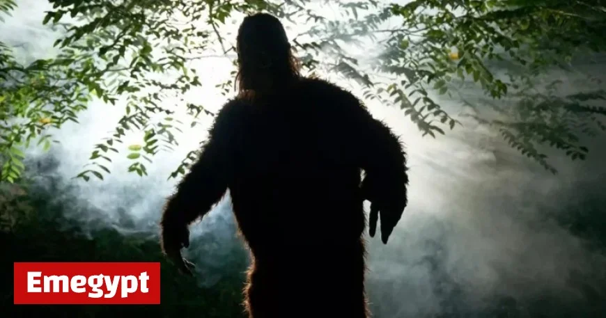 Bigfoot Hunters Assert Mythical Creature’s Existence, Close to Solving Mystery