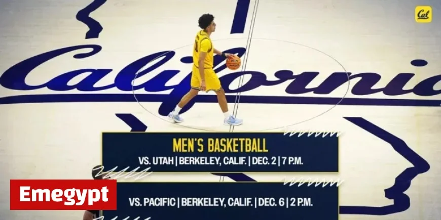 Watch Cal vs. Utah College Basketball Live: Stream and TV Details