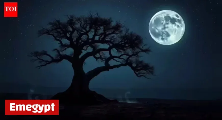 Daily Affirmations and Manifestation Guide for December 3, 2025 Moon Phase