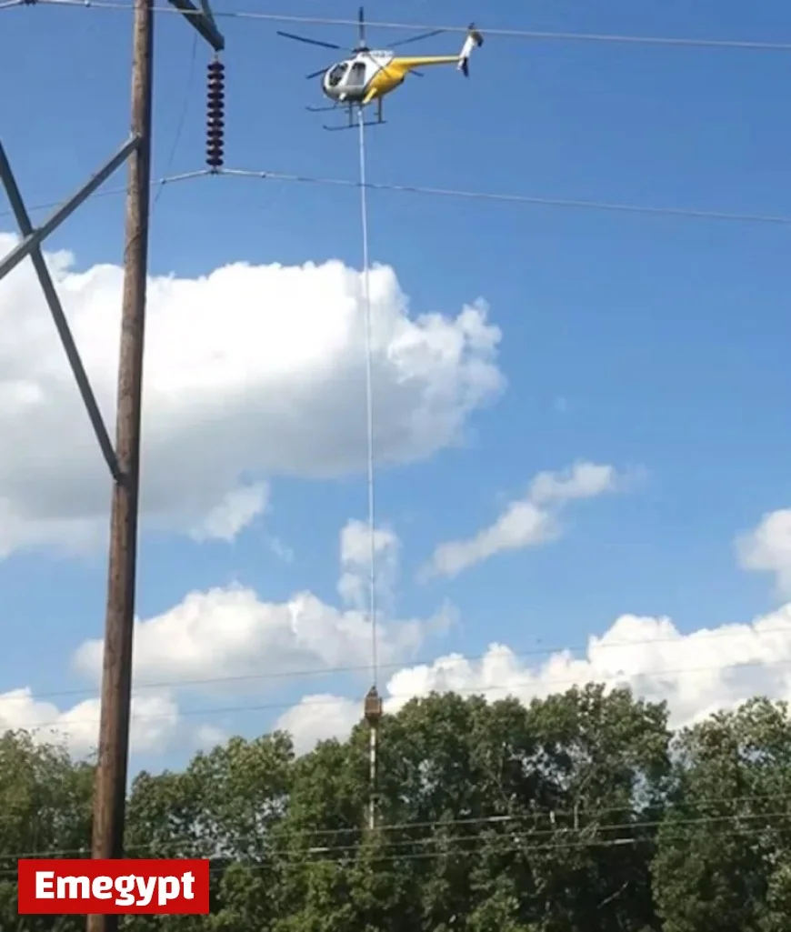 FirstEnergy Profits from Tree Trimming Amid Northeast Ohio Rate Hikes