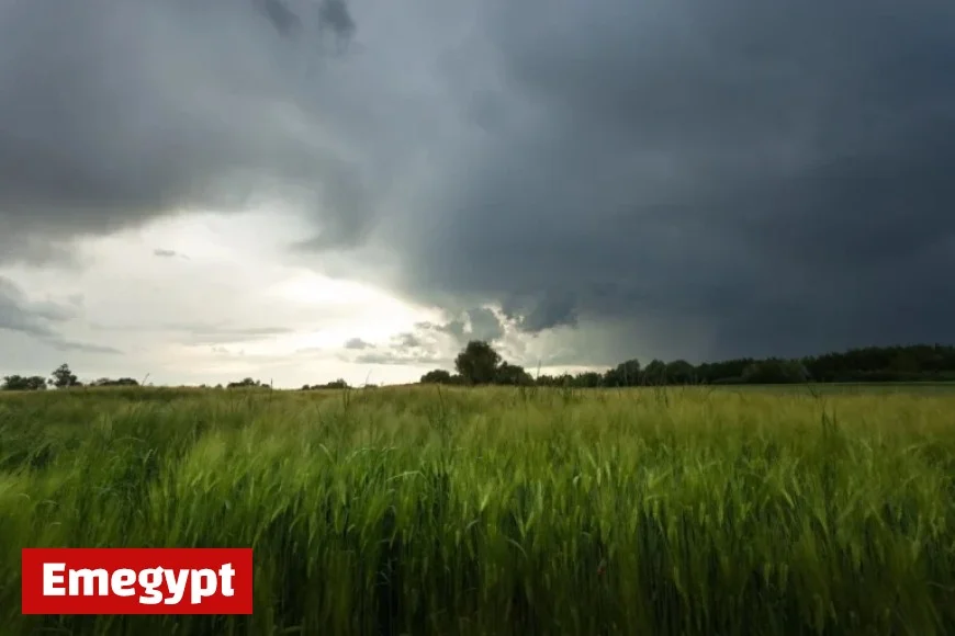 Met Éireann Forecasts Above Average Rainfall for Farmers in Coming Days