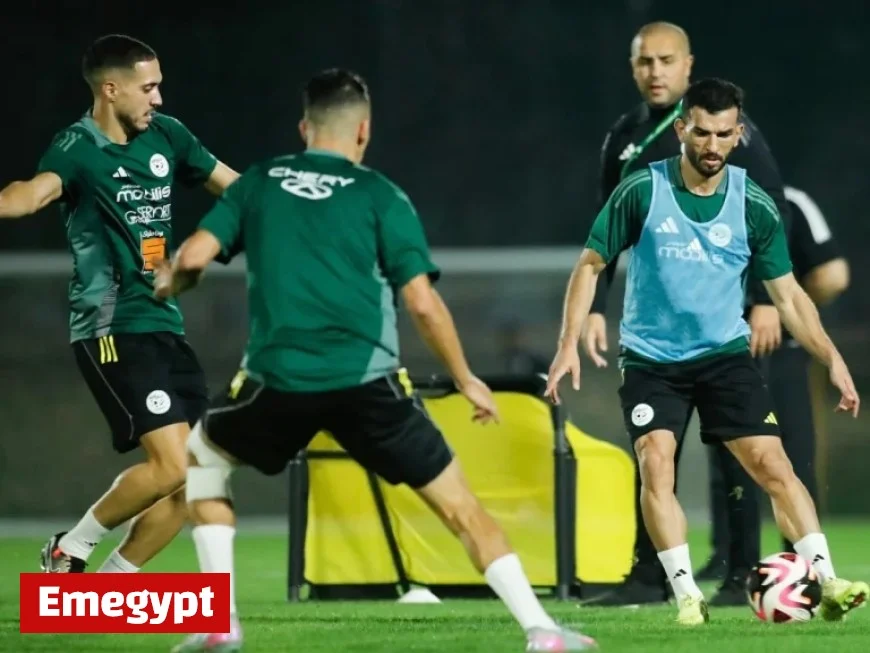 Bougherra Cautious of Unexpected Challenges as Algeria Begins Arab Cup Title Defense Against Sudan