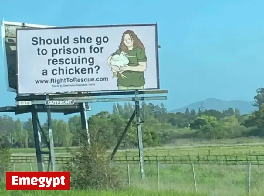 Prosecutors Demand 180-Day Sentence for Activist Zoe Rosenberg in Poultry Case