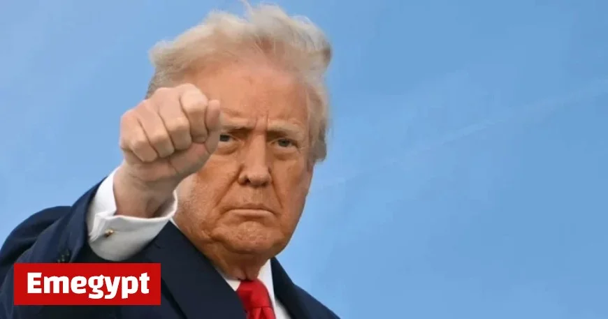 Peace in Ukraine? Trump Discusses “Playing Cards” – Our Analysis