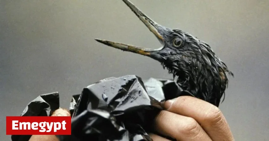 Exxon Valdez Disaster Continues to Impact Northern Pipeline Debate