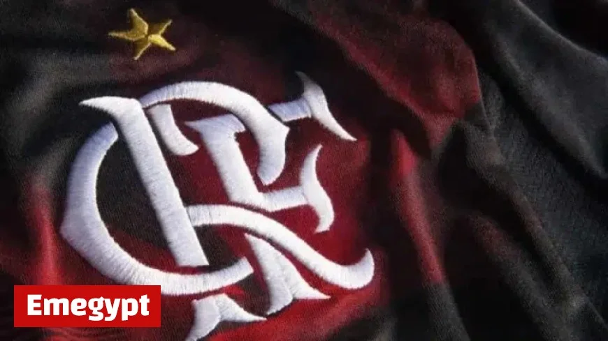 Discover Flamengo’s Prize for Winning the 2025 Campeonato Brasileiro Championship