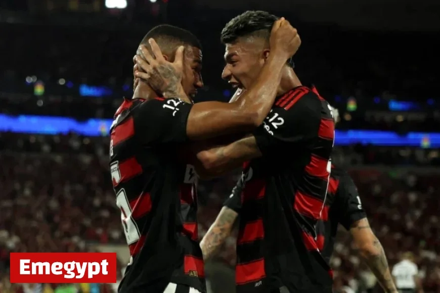 Discover the Complete List of Brazilian Championship Winners