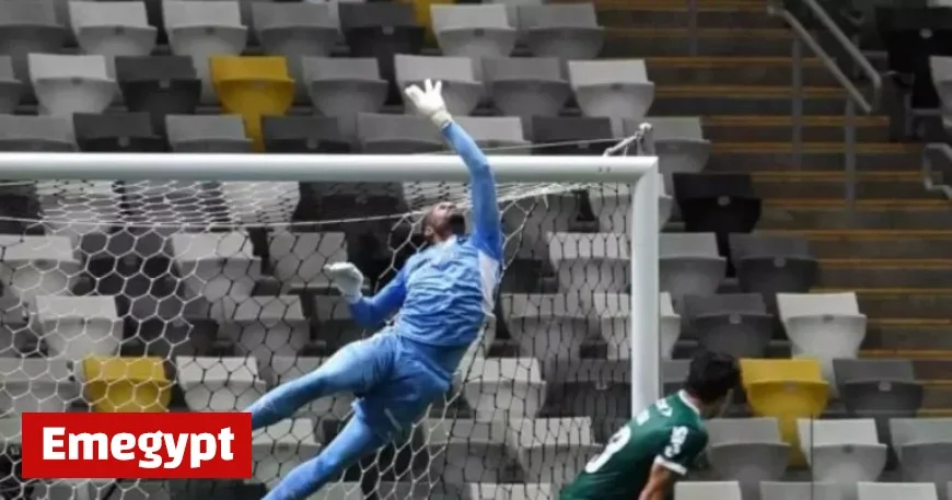 Carlos Miguel Reflects on Palmeiras’ Performance in the Brasileiro Admitting Mistakes