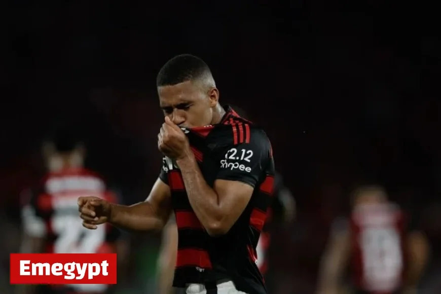 Discover the Updated Ranking of Brazilian Champions as Flamengo Secures the 2025 Title