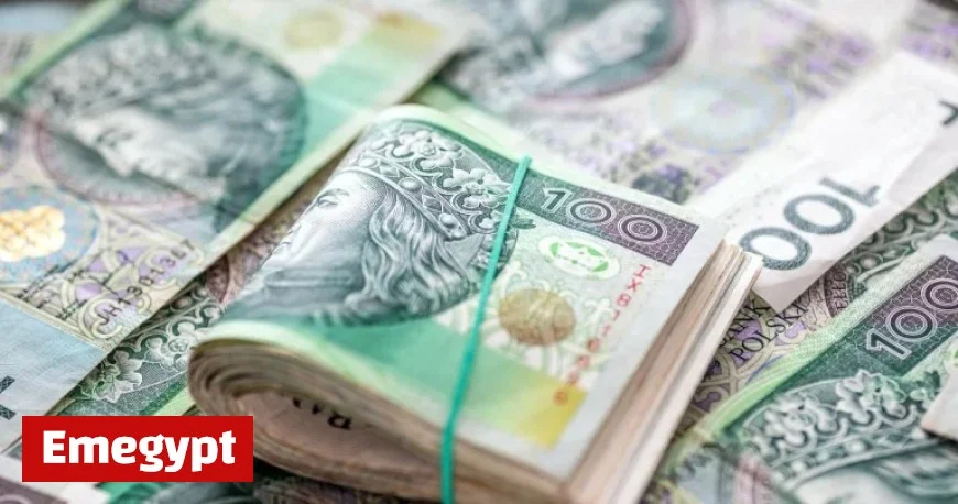 Record Savings for Poles in Employee Capital Plans with Many Accumulating Several Thousand Net