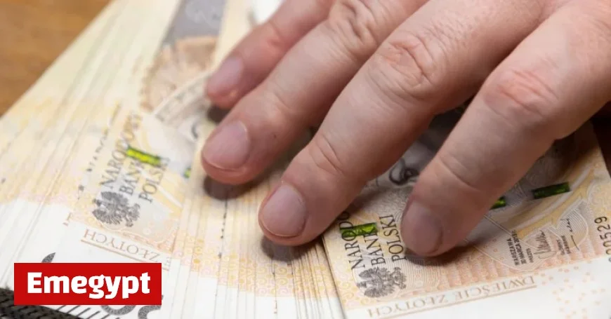 Experts Warn of Losing Savings in Employee Capital Plans Przepadną Alert