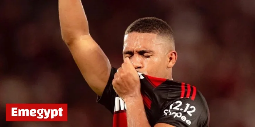 Flamengo Secures Championship Title Adding Brasileirão to Libertadores Triumph