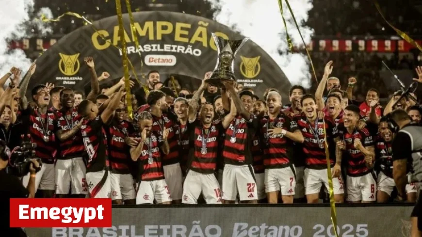 Flamengo Takes a Jab at Palmeiras and Botafogo After Securing Brasileirão Title