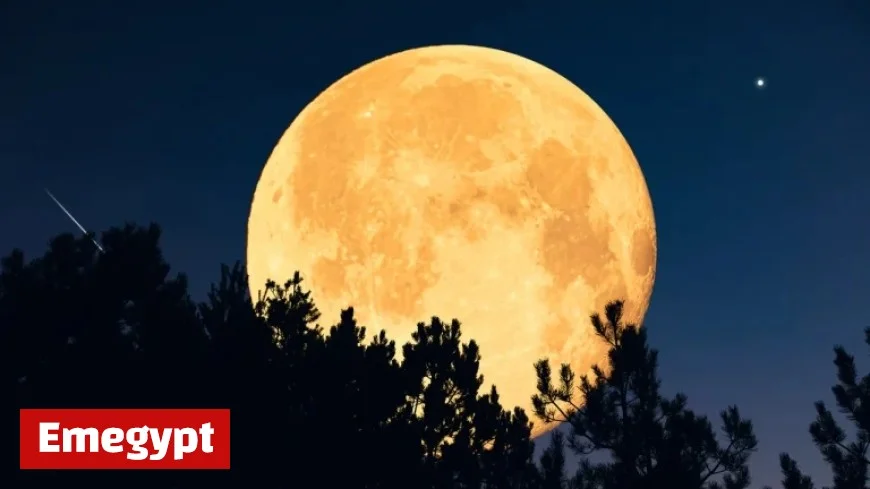 Discover What the December Supermoon Means for Your Star Sign