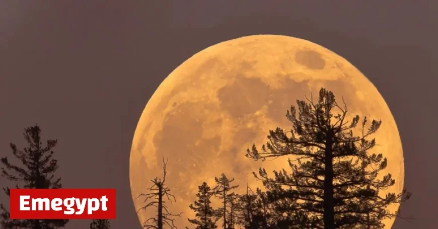 Witness the Last Supermoon of the Year: How to See the Cold Moon on Thursday