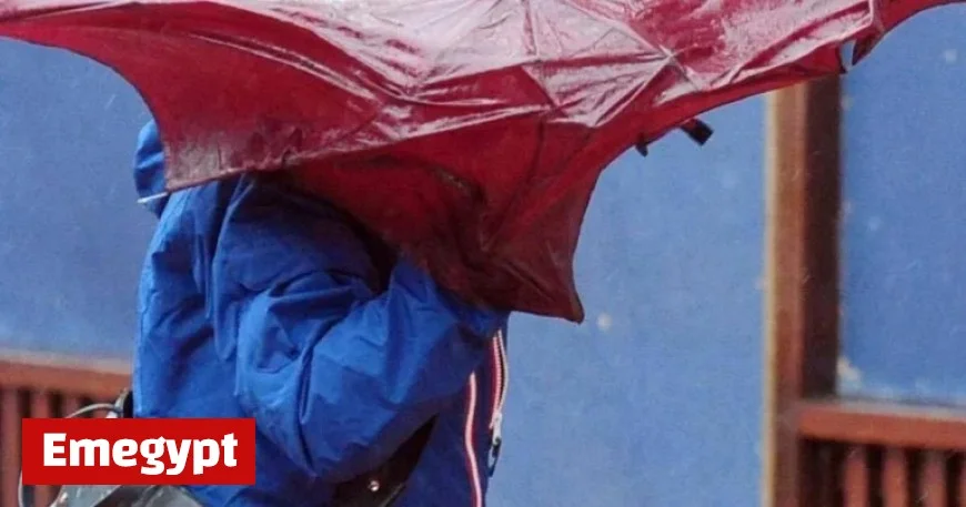 Met Éireann Issues Weather Warning for Strong Winds Affecting Three Counties