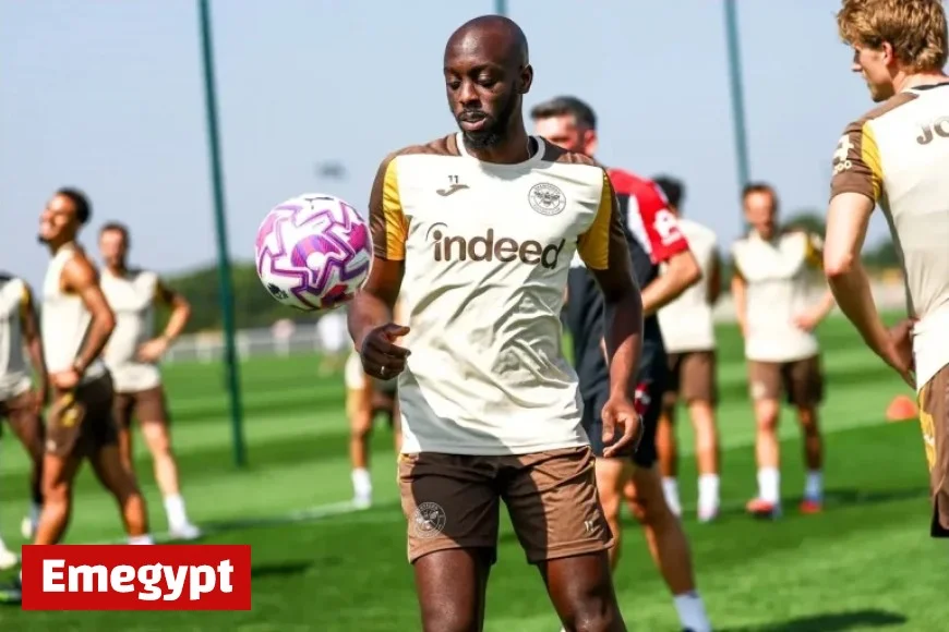 Yoane Wissa’s Decision to Join Newcastle United Revealed to the Public