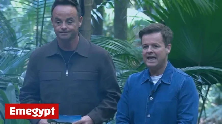 IAC Fans Outraged as Sixth Campmate Faces Eviction Following Series of Surprising Exits