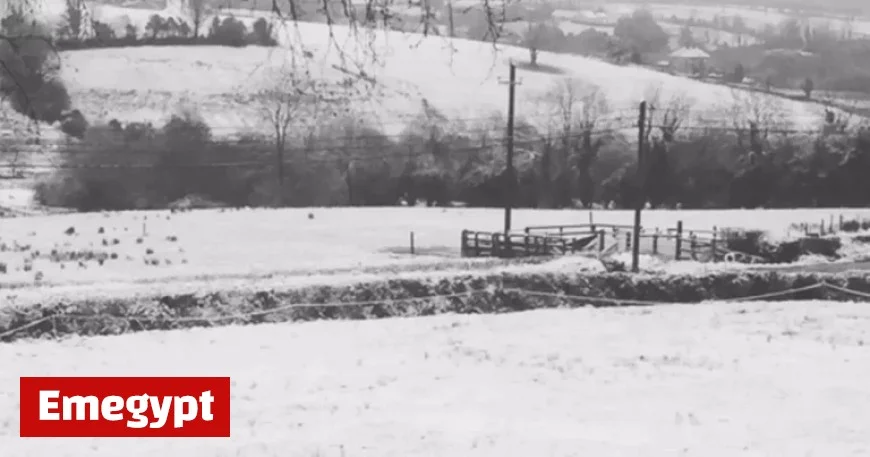 Discover Which Irish County Is Most Likely to Experience a White Christmas This Year