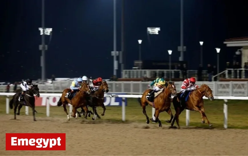 Chelmsford Horse Racing Tips: Top 5/1 Bet Headlines Tonight’s Best Picks