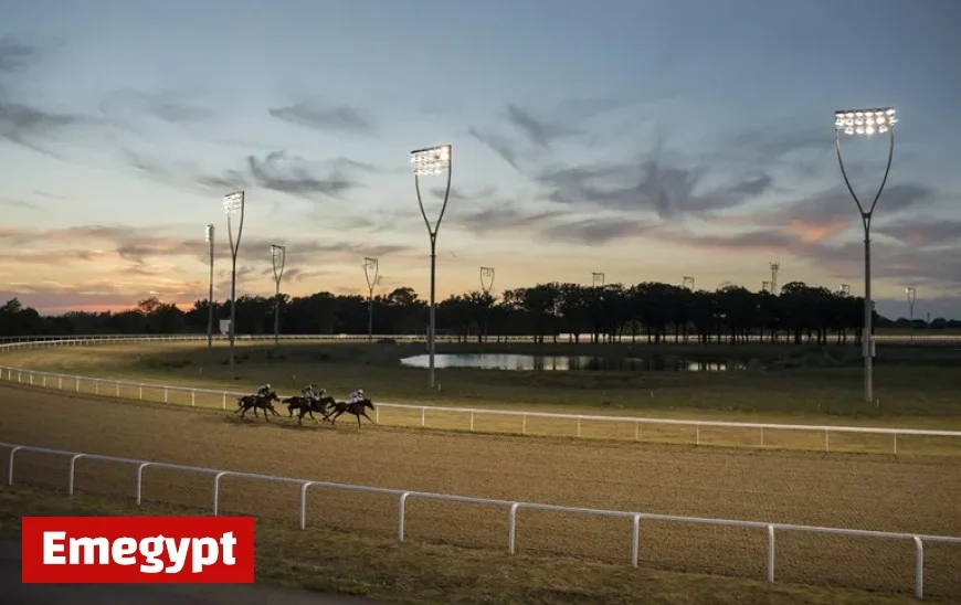 Discover Thursday Chelmsford Horse Racing Tips Featuring a Promising 13/2 Contender