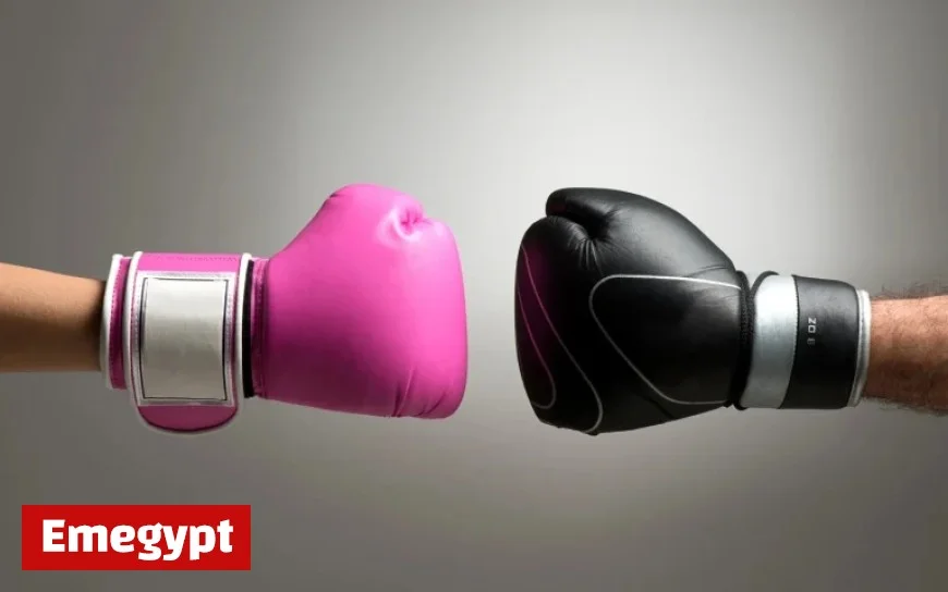 Adobe Versus Canva A Clash of Design Titans Old School Meets Modern Innovation