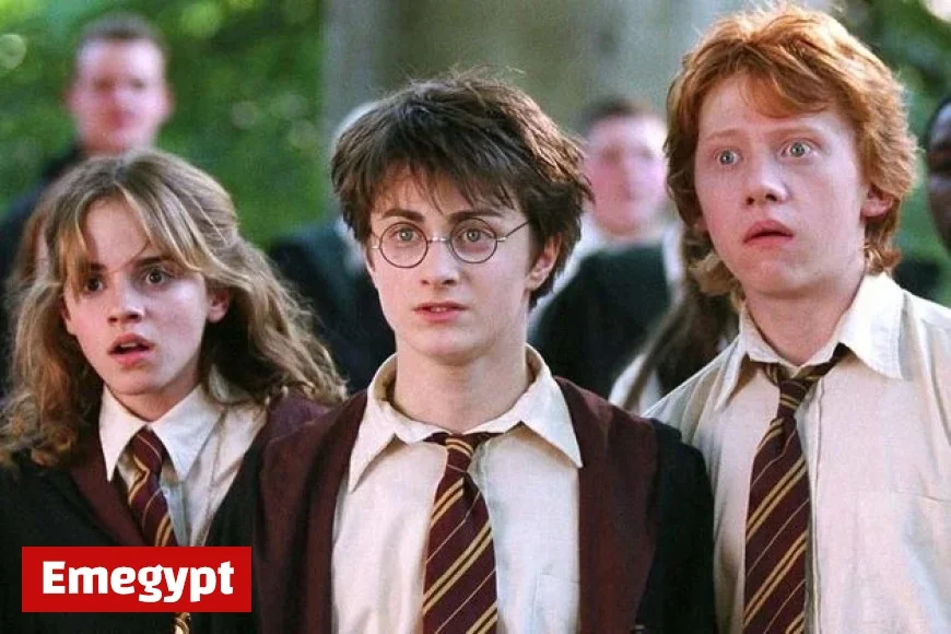 How Netflix’s $83 Billion Acquisition of Warner Brothers Impacts Irish Viewers: Price Hikes, Cinema Closures, and Sky’s Setback