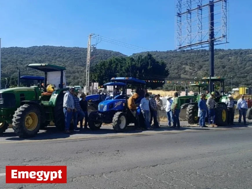 Financial Support for Corn Farmers Scheduled for End of the Month Delivery