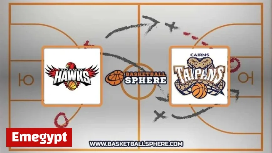 Illawarra Hawks vs Cairns Taipans December 6 2025 Game Analysis and Prediction