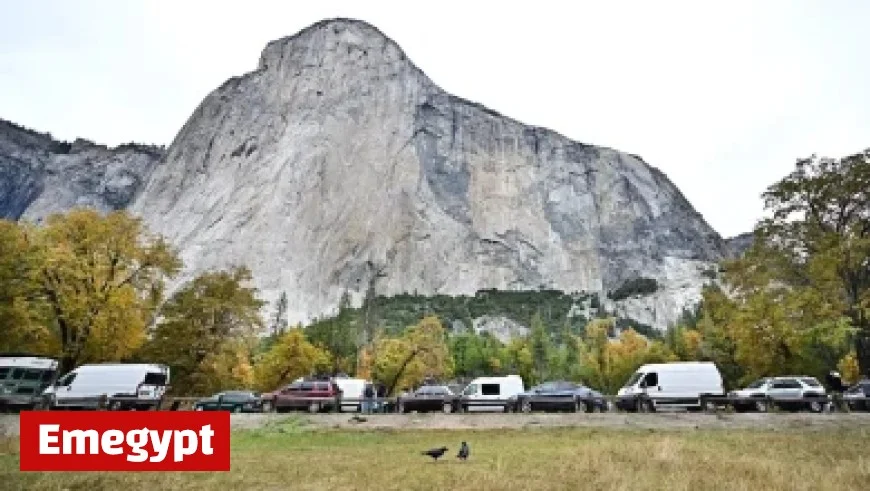 Georgia’s Defense Transforms from Early Season Struggles to Dominant Force