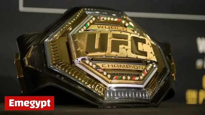 Shocking Arm Break Halts UFC 323 Title Fight in Gruesome Fashion