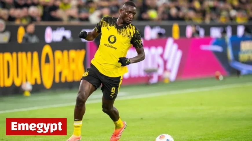 Live Update: Borussia Dortmund Leads TSG 1899 Hoffenheim as Julian Brandt Scores Before Halftime