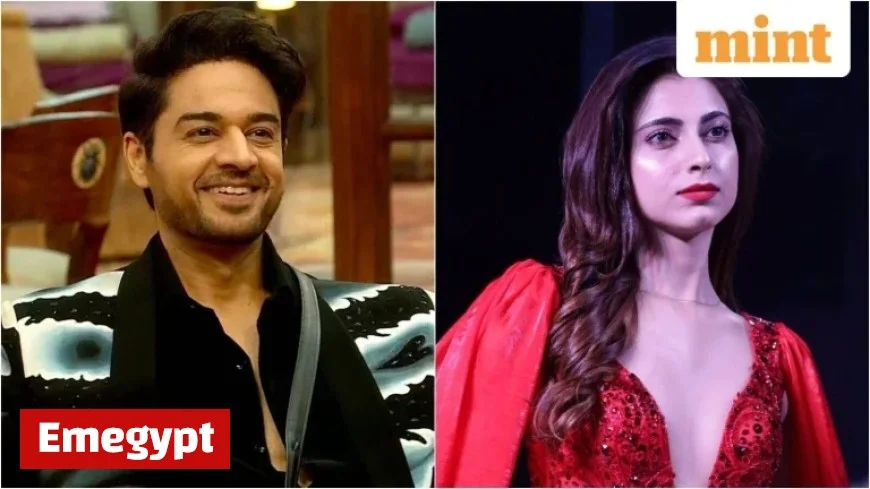 Bigg Boss 19: How to Cast Your Vote for Your Favorite Contestant During the One-Hour Finale Voting Window