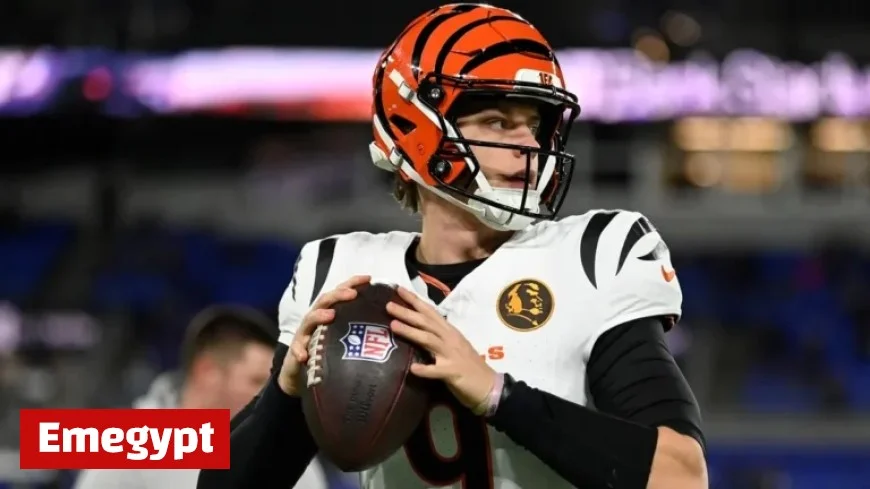 Bengals Playoff Outlook: Odds, Schedule, and Division Standings