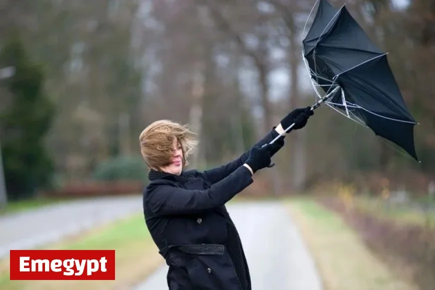 Met Éireann Forecasts Powerful Impact Issuing Nationwide Status Yellow Wind Warning and Rain Alert for Seven Counties