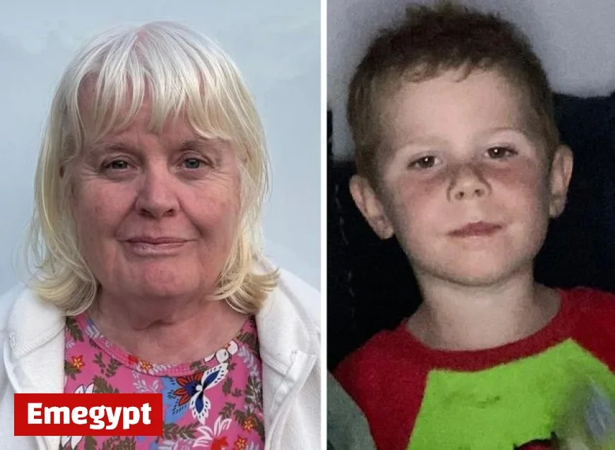 Offaly Home Fire Attack Claims Lives of Woman and 4-Year-Old Boy as Murder Investigation Begins