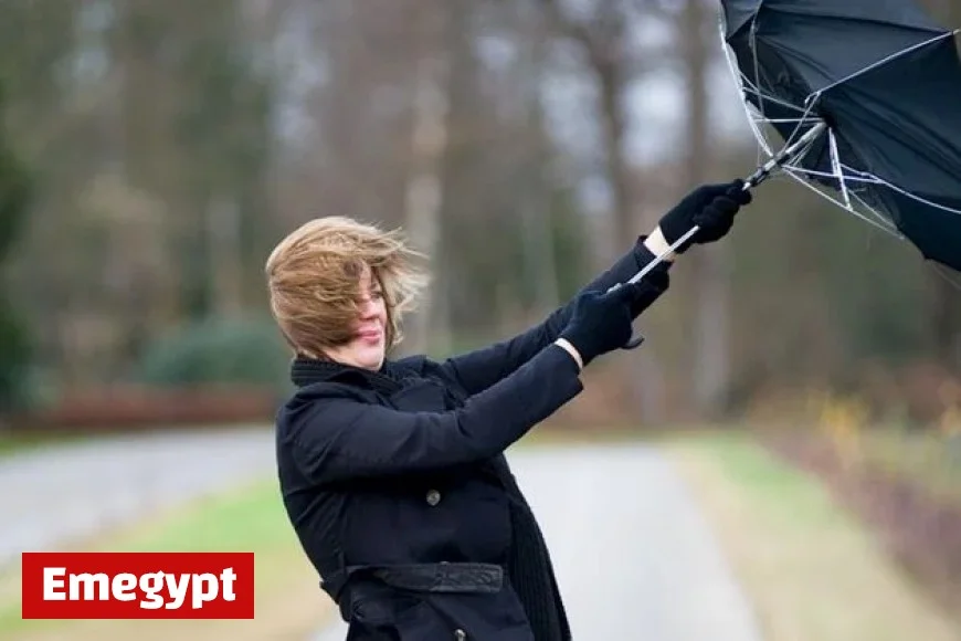 Storm Bram Prompts Met Éireann to Issue Status Orange Wind Warnings Across Eleven Counties