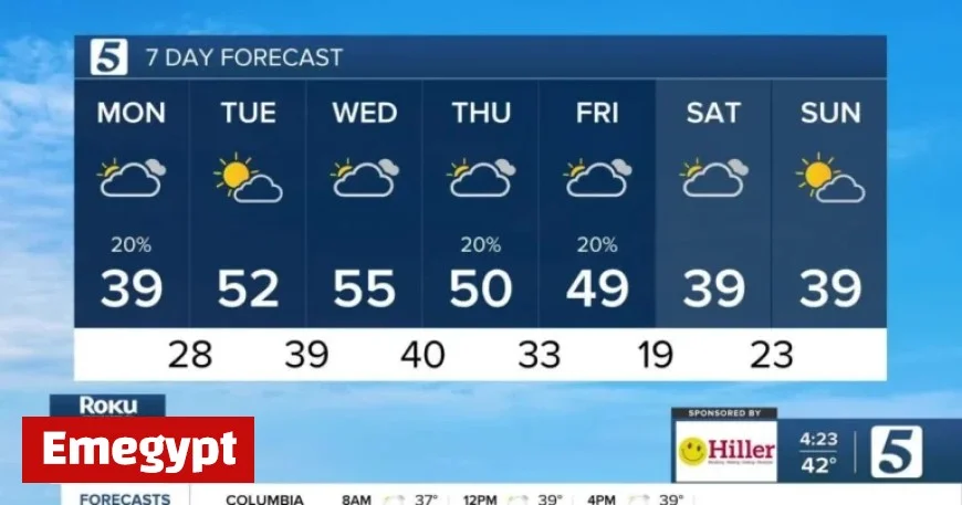 Cold and Cloudy Weather Forecast for December 8, 2025