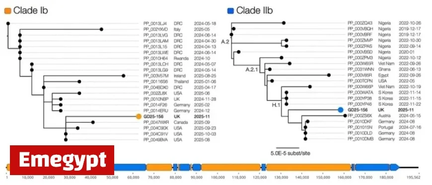 Inter-Clade Recombinant Mpox Virus Found in England in Traveler Returning from Asia