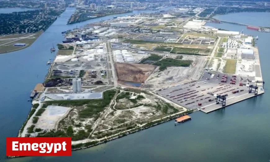 Fog Shuts Down Tampa Bay Leading to Delays for Three Royal Caribbean Ships Arrival