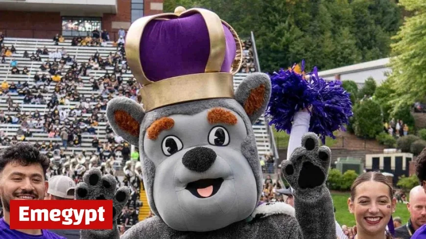 How to Buy James Madison College Football Playoff Tickets 2025: Best Prices and Complete Dukes CFP Schedule
