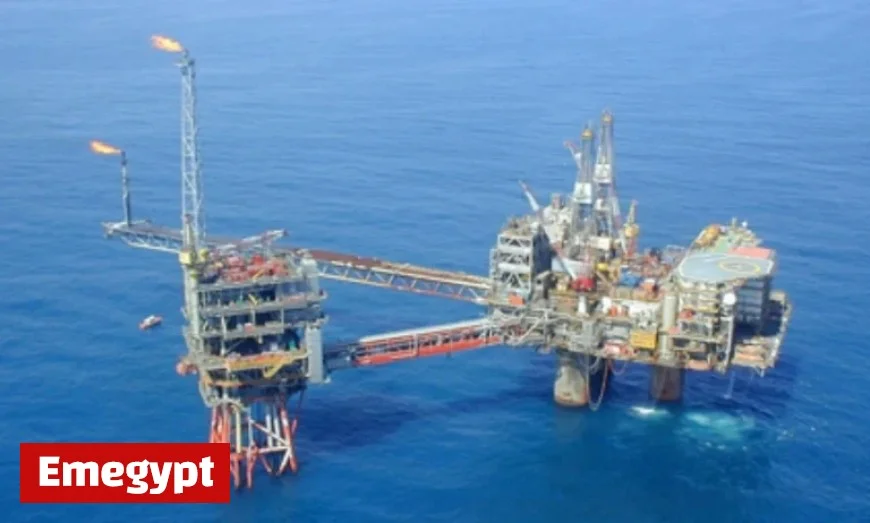 Advocates for the Future Claims Netherlands Violates Climate Obligations with New Gas Fields