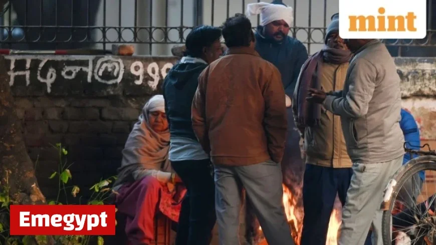 Chilly Days Ahead as IMD Warns North India of Cold Wave Alert for Delhi Madhya Pradesh and Rajasthan Until December 12