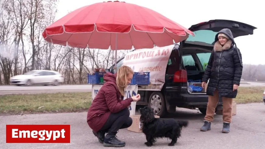 Oekraïnereis Discoveries Coffee Culture and Animal Conservation Insights