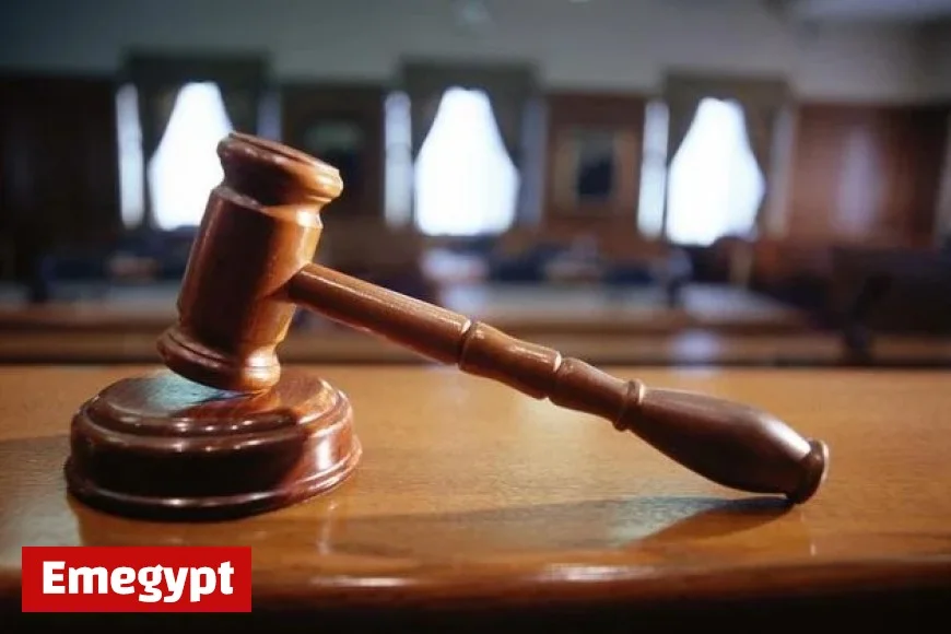 Monaghan Farmer Triumphs in Legal Fight to Keep Farmyard Road Private