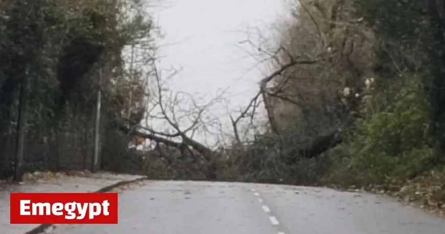 Storm Bram Leaves Thousands in Cork Without Power as it Sweeps Through Ireland