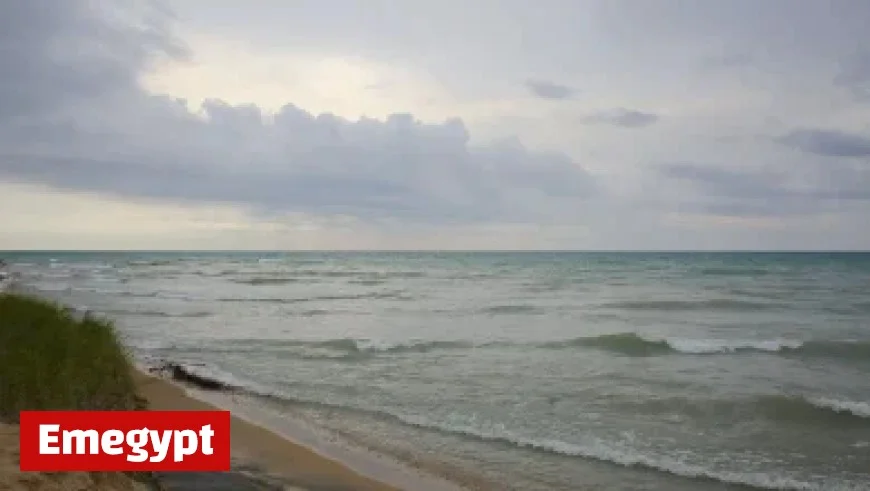 The Wolfe Tones Reveal Exciting Dublin Summer Shows for 2026