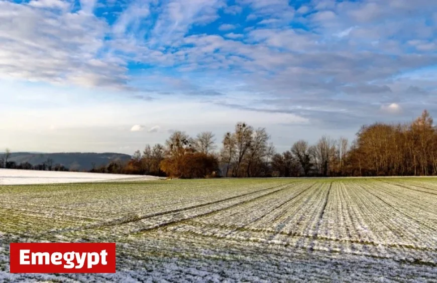 Boost Winter Farm Safety with ESB Networks 2025 Top 10 Tips for Farmers